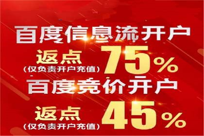 百度竞价广告开户后如何进行预算设置？成功案例解析